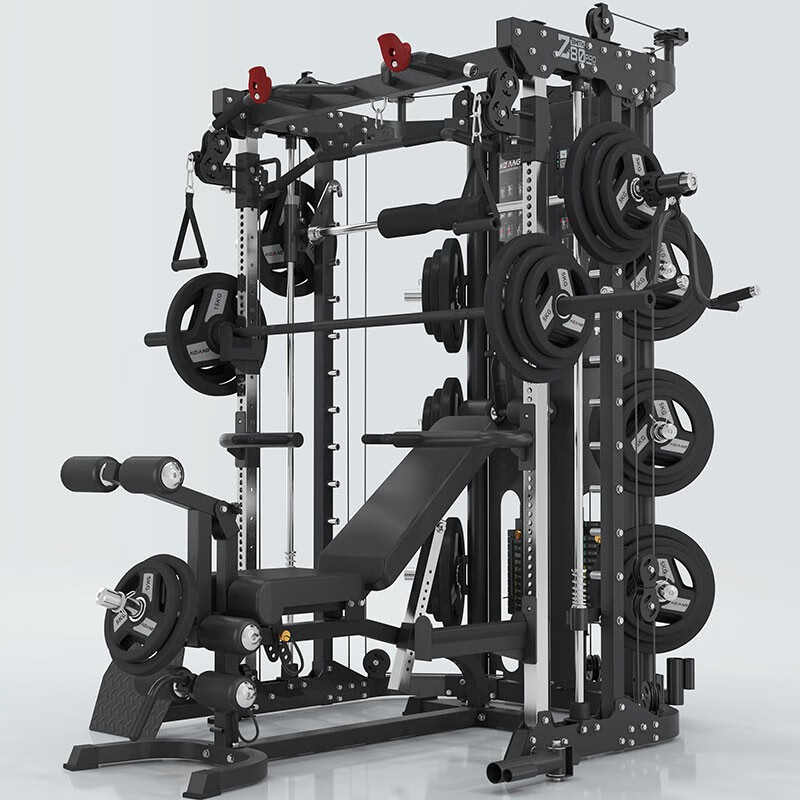 尊龙时凯史密斯机Z80pro综合训练器家用商用单位酒店健身房私教力量运动器 Z80pro专业版套装