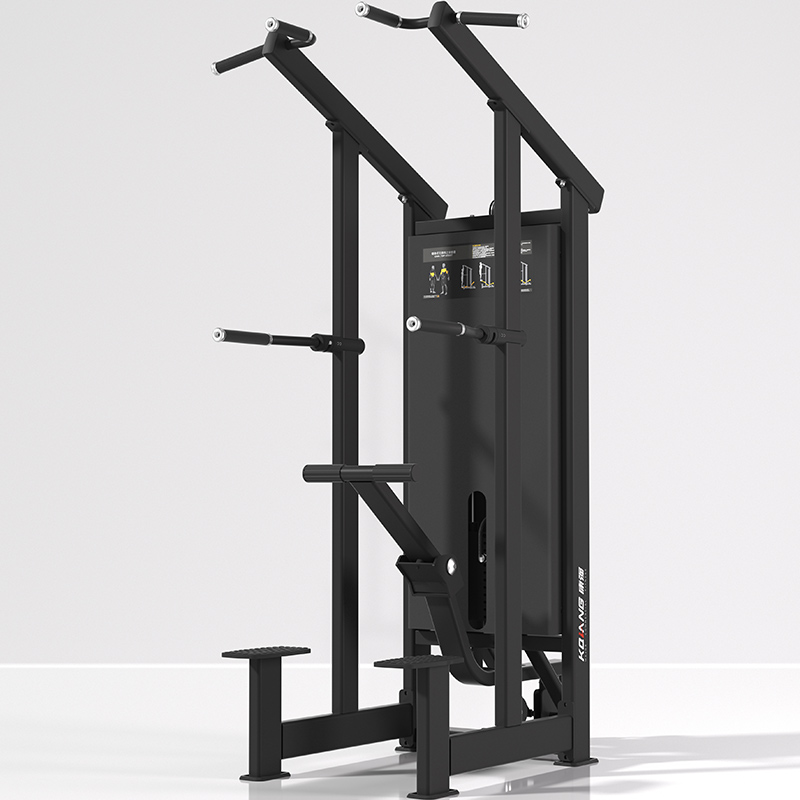 尊龙时凯辅助单双杠训练器7019室内专业力量专项运动健身器材